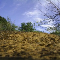 Foto de La Mesa de Veraguas
