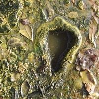 Foto de La Mesa de Veraguas