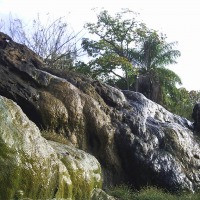 Foto de La Mesa de Veraguas