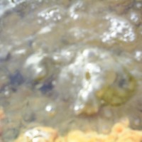 Foto de La Mesa de Veraguas