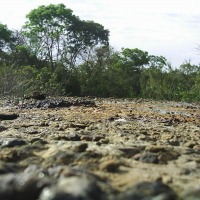Foto de La Mesa de Veraguas