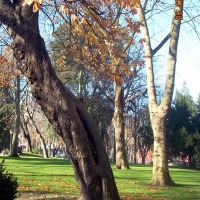 Foto de Oviedo