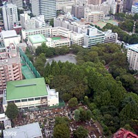 Foto de Tokio