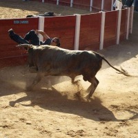 Foto de Peñafiel