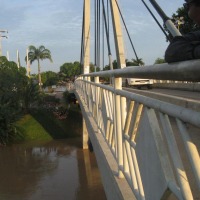 Foto de Cobija