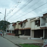 Foto de Palmira