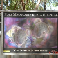 Foto de Port Macquarie