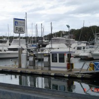 Foto de Nelson Bay