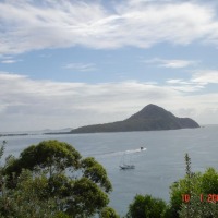 Foto de Nelson Bay