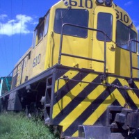 Foto de La Ceiba