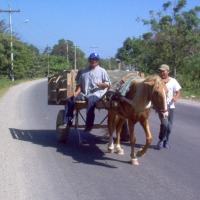 Foto de La Ceiba