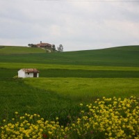 Foto de Becerril de Campos