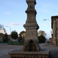 Foto de Piña de Campos