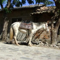 Foto de San Jose