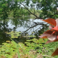Foto de Chanchamayo