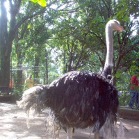Foto de El Ocotal