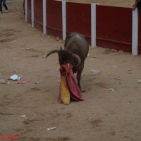 Foto de Peñafiel