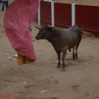 Foto de Peñafiel