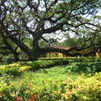 Foto de Santa Marta