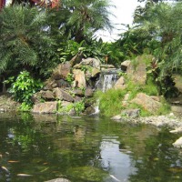 Foto de Quindio