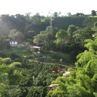Foto de Quindio