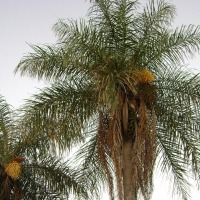 Foto de Departamento de Caaguazu