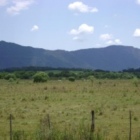 Foto de Dpto. del Guaira