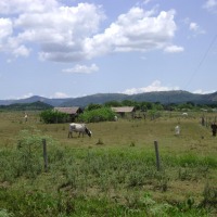 Foto de Dpto. del Guaira