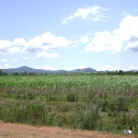 Foto de Dpto. del Guaira