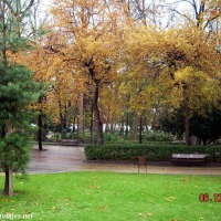 Foto de Oviedo