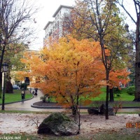 Foto de Oviedo