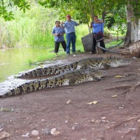 Foto de Tecomán (Colima)