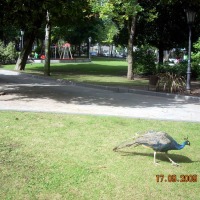 Foto de Oviedo