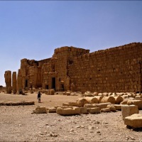 Foto de Palmira