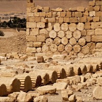 Foto de Palmira