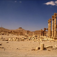 Foto de Palmira