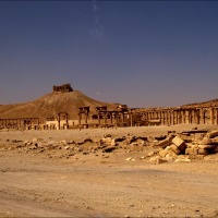 Foto de Palmira