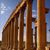 Foto de Palmira