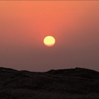 Foto de Palmira