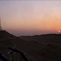 Foto de Palmira