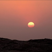Foto de Palmira