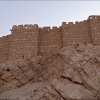 Foto de Palmira