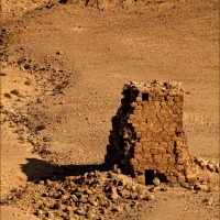 Foto de Palmira