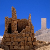 Foto de Palmira