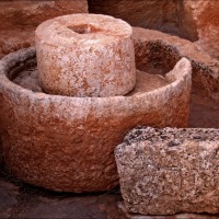Foto de Sergella
