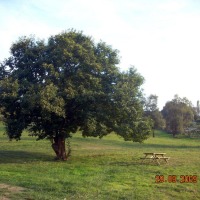 Foto de Oviedo