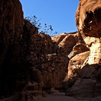 Foto de Petra