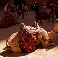 Foto de Petra