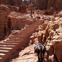 Foto de Petra