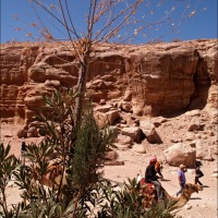 Foto de Petra